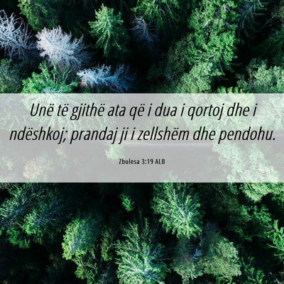 Picture 06 - Zbulesa 3:19 ALB - Unë të gjithë ata që i dua i qortoj dhe i - Bible Verse Picture