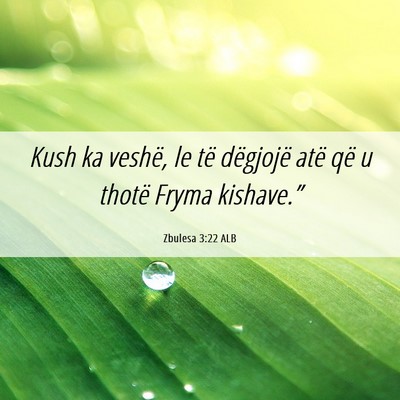 Picture 06 - Zbulesa 3:22 ALB - Kush ka veshë, le të dëgjojë atë që u - Bible Verse Picture