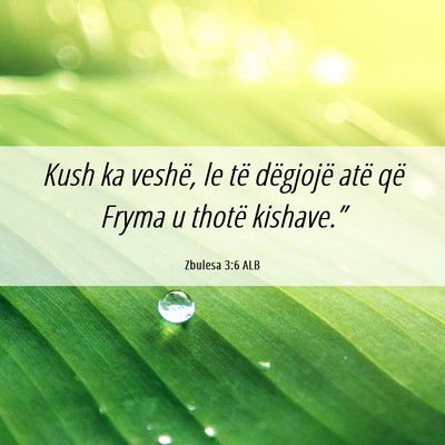 Picture 06 - Zbulesa 3:6 ALB - Kush ka veshë, le të dëgjojë atë që Fryma u - Bible Verse Picture