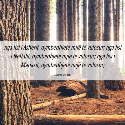 Picture 06 - Zbulesa 7:6 ALB - nga fisi i Asherit, dymbëdhjetë mijë të - Bible Verse Picture
