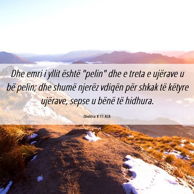 Picture 06 - Zbulesa 8:11 ALB - Dhe emri i yllit është 