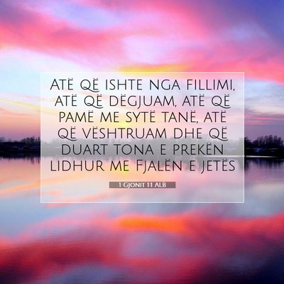 Picture 07 - 1 Gjonit 1:1 ALB - Atë që ishte nga fillimi, atë që dëgjuam, - Bible Verse Picture