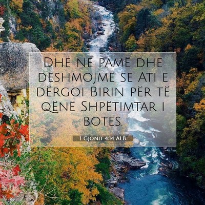Picture 07 - 1 Gjonit 4:14 ALB - Dhe ne pamë dhe dëshmojmë se Ati e dërgoi - Bible Verse Picture