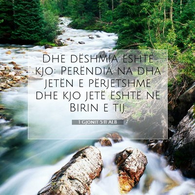 Picture 07 - 1 Gjonit 5:11 ALB - Dhe dëshmia është kjo: Perëndia na dha jetën - Bible Verse Picture