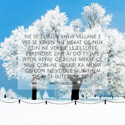 Picture 07 - 1 Gjonit 5:16 ALB - Në se dikush sheh vëllanë e vet se kryen një - Bible Verse Picture