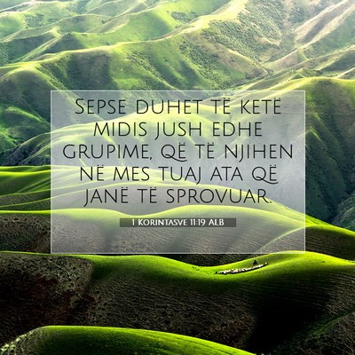 Picture 07 - 1 Korintasve 11:19 ALB - Sepse duhet të ketë midis jush edhe grupime, - Bible Verse Picture