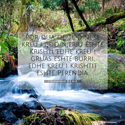 Picture 07 - 1 Korintasve 11:3 ALB - Por dua që të dini se kreu i çdo njeriu - Bible Verse Picture