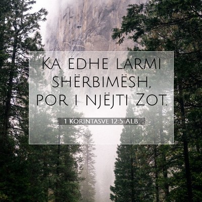 Picture 07 - 1 Korintasve 12:5 ALB - Ka edhe larmi shërbimësh, por i njëjti - Bible Verse Picture