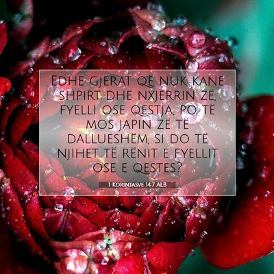Picture 07 - 1 Korintasve 14:7 ALB - Edhe gjërat që nuk kanë shpirt dhe nxjerrin - Bible Verse Picture