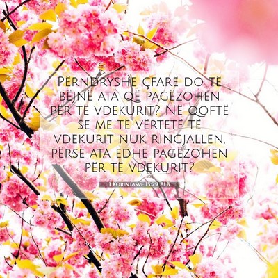 Picture 07 - 1 Korintasve 15:29 ALB - Përndryshe çfarë do të bëjnë ata që - Bible Verse Picture