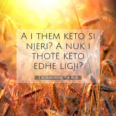 Picture 07 - 1 Korintasve 9:8 ALB - A i them këto si njeri? A nuk i thotë këto - Bible Verse Picture