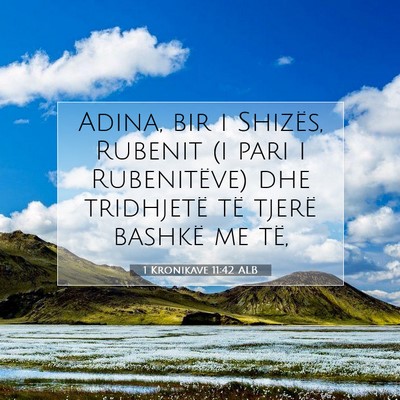 Picture 07 - 1 Kronikave 11:42 ALB - Adina, bir i Shizës, Rubenit (i pari i - Bible Verse Picture