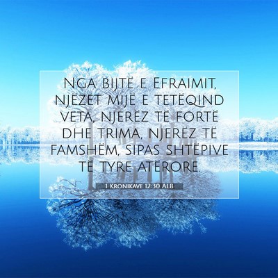 Picture 07 - 1 Kronikave 12:30 ALB - Nga bijtë e Efraimit, njëzet mijë e tetëqind - Bible Verse Picture