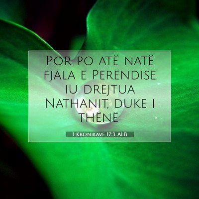 Picture 07 - 1 Kronikave 17:3 ALB - Por po atë natë fjala e Perëndisë iu drejtua - Bible Verse Picture