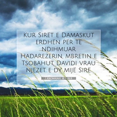 Picture 07 - 1 Kronikave 18:5 ALB - Kur Sirët e Damaskut erdhën për të ndihmuar - Bible Verse Picture