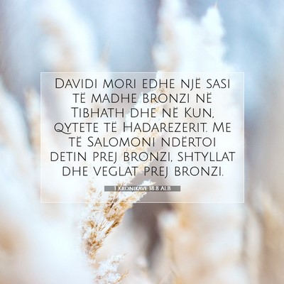 Picture 07 - 1 Kronikave 18:8 ALB - Davidi mori edhe një sasi të madhe bronzi në - Bible Verse Picture
