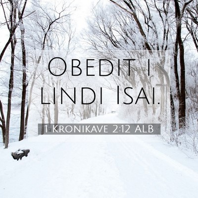Picture 07 - 1 Kronikave 2:12 ALB - Obedit i lindi - Bible Verse Picture