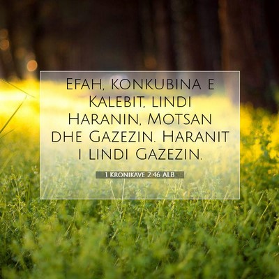 Picture 07 - 1 Kronikave 2:46 ALB - Efah, konkubina e Kalebit, lindi Haranin, Motsan - Bible Verse Picture