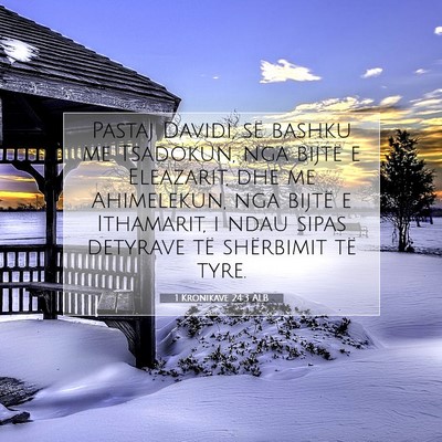 Picture 07 - 1 Kronikave 24:3 ALB - Pastaj Davidi, së bashku me Tsadokun, nga bijtë - Bible Verse Picture