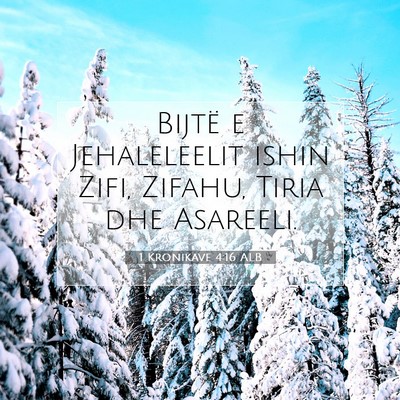 Picture 07 - 1 Kronikave 4:16 ALB - Bijtë e Jehaleleelit ishin Zifi, Zifahu, Tiria - Bible Verse Picture