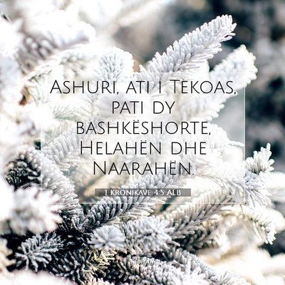 Picture 07 - 1 Kronikave 4:5 ALB - Ashuri, ati i Tekoas, pati dy bashkëshorte, - Bible Verse Picture