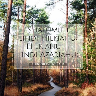 Picture 07 - 1 Kronikave 6:13 ALB - Shalumit i lindi Hilkiahu; Hilkiahut i lindi - Bible Verse Picture