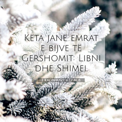Picture 07 - 1 Kronikave 6:17 ALB - Këta janë emrat e bijve të Gershomit: Libni - Bible Verse Picture