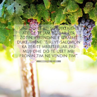 Picture 07 - 1 Mbretërve 1:30 ALB - unë do të bëj sot pikërisht atë që të jam - Bible Verse Picture