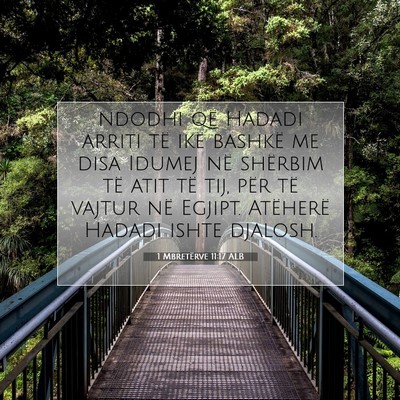 Picture 07 - 1 Mbretërve 11:17 ALB - ndodhi që Hadadi arriti të ikë bashkë me disa - Bible Verse Picture