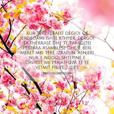 Picture 07 - 1 Mbretërve 12:20 ALB - Kur tërë Izraeli dëgjoi që Jeroboami ishte - Bible Verse Picture