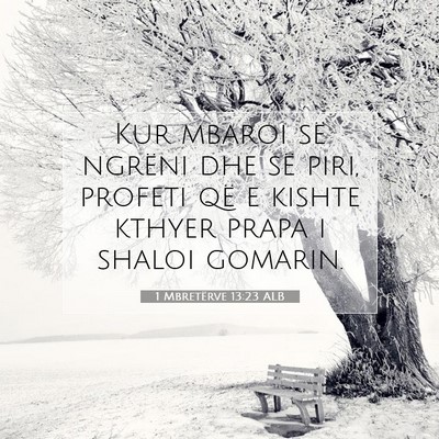 Picture 07 - 1 Mbretërve 13:23 ALB - Kur mbaroi së ngrëni dhe së piri, profeti që - Bible Verse Picture