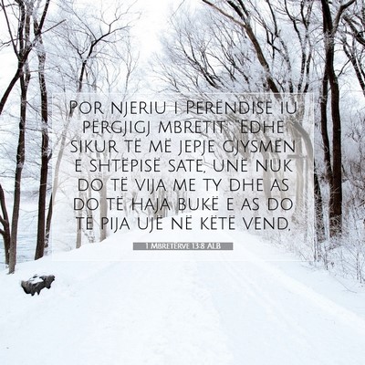 Picture 07 - 1 Mbretërve 13:8 ALB - Por njeriu i Perëndisë iu përgjigj mbretit: - Bible Verse Picture