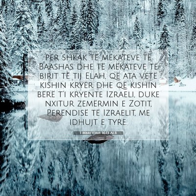 Picture 07 - 1 Mbretërve 16:13 ALB - për shkak të mëkateve të Baashas dhe të - Bible Verse Picture