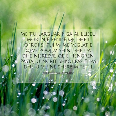 Picture 07 - 1 Mbretërve 19:21 ALB - Me t’u larguar nga ai, Eliseu mori një pendë - Bible Verse Picture