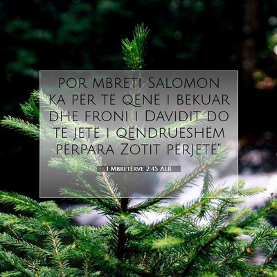 Picture 07 - 1 Mbretërve 2:45 ALB - por mbreti Salomon ka për të qënë i bekuar - Bible Verse Picture