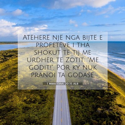 Picture 07 - 1 Mbretërve 20:35 ALB - Atëherë një nga bijtë e profetëve i tha - Bible Verse Picture