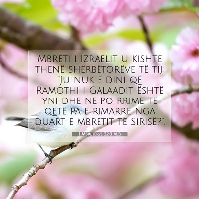 Picture 07 - 1 Mbretërve 22:3 ALB - Mbreti i Izraelit u kishte thënë - Bible Verse Picture