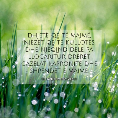 Picture 07 - 1 Mbretërve 4:23 ALB - dhjetë qe të majmë, njëzet qe të kullotës - Bible Verse Picture