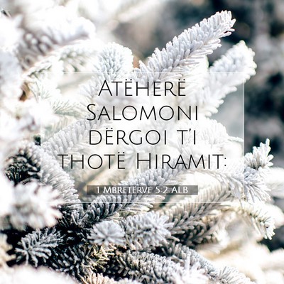 Picture 07 - 1 Mbretërve 5:2 ALB - Atëherë Salomoni dërgoi t’i thotë - Bible Verse Picture