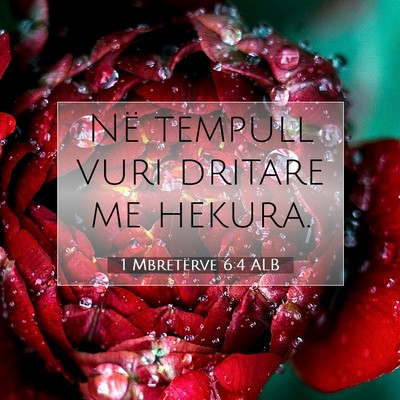 Picture 07 - 1 Mbretërve 6:4 ALB - Në tempull vuri dritare me - Bible Verse Picture