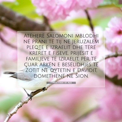 Picture 07 - 1 Mbretërve 8:1 ALB - Atëherë Salomoni mblodhi në prani të tij në - Bible Verse Picture
