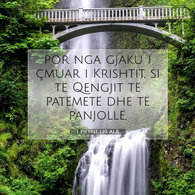 Picture 07 - 1 Pjetrit 1:19 ALB - por nga gjaku i çmuar i Krishtit, si të Qengjit - Bible Verse Picture
