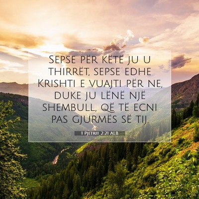 Picture 07 - 1 Pjetrit 2:21 ALB - Sepse për këtë ju u thirrët, sepse edhe - Bible Verse Picture