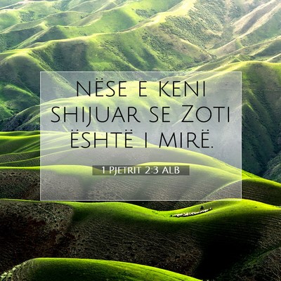 Picture 07 - 1 Pjetrit 2:3 ALB - nëse e keni shijuar se Zoti është i - Bible Verse Picture
