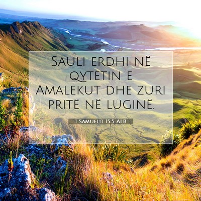 Picture 07 - 1 Samuelit 15:5 ALB - Sauli erdhi në qytetin e Amalekut dhe zuri - Bible Verse Picture
