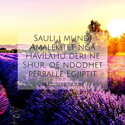 Picture 07 - 1 Samuelit 15:7 ALB - Sauli i mundi Amalekitët nga Havilahu deri në - Bible Verse Picture