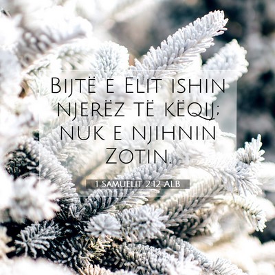 Picture 07 - 1 Samuelit 2:12 ALB - Bijtë e Elit ishin njerëz të këqij; nuk e - Bible Verse Picture