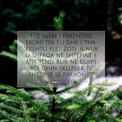 Picture 07 - 1 Samuelit 2:27 ALB - Një njeri i Perëndisë erdhi tek Eli dhe i tha: - Bible Verse Picture