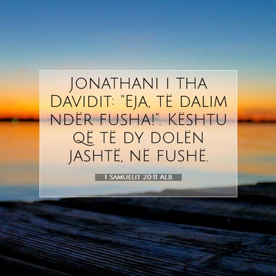 Picture 07 - 1 Samuelit 20:11 ALB - Jonathani i tha Davidit: 