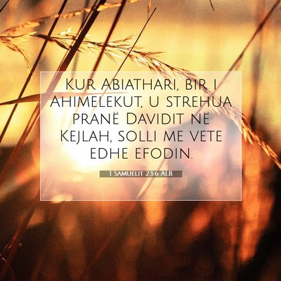 Picture 07 - 1 Samuelit 23:6 ALB - Kur Abiathari, bir i Ahimelekut, u strehua pranë - Bible Verse Picture